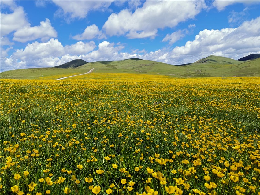 祝?；ê? 任剛.jpg