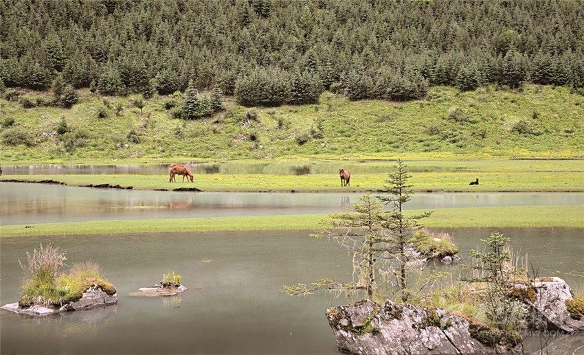 去甘孜 邂逅絕美湖泊海子！