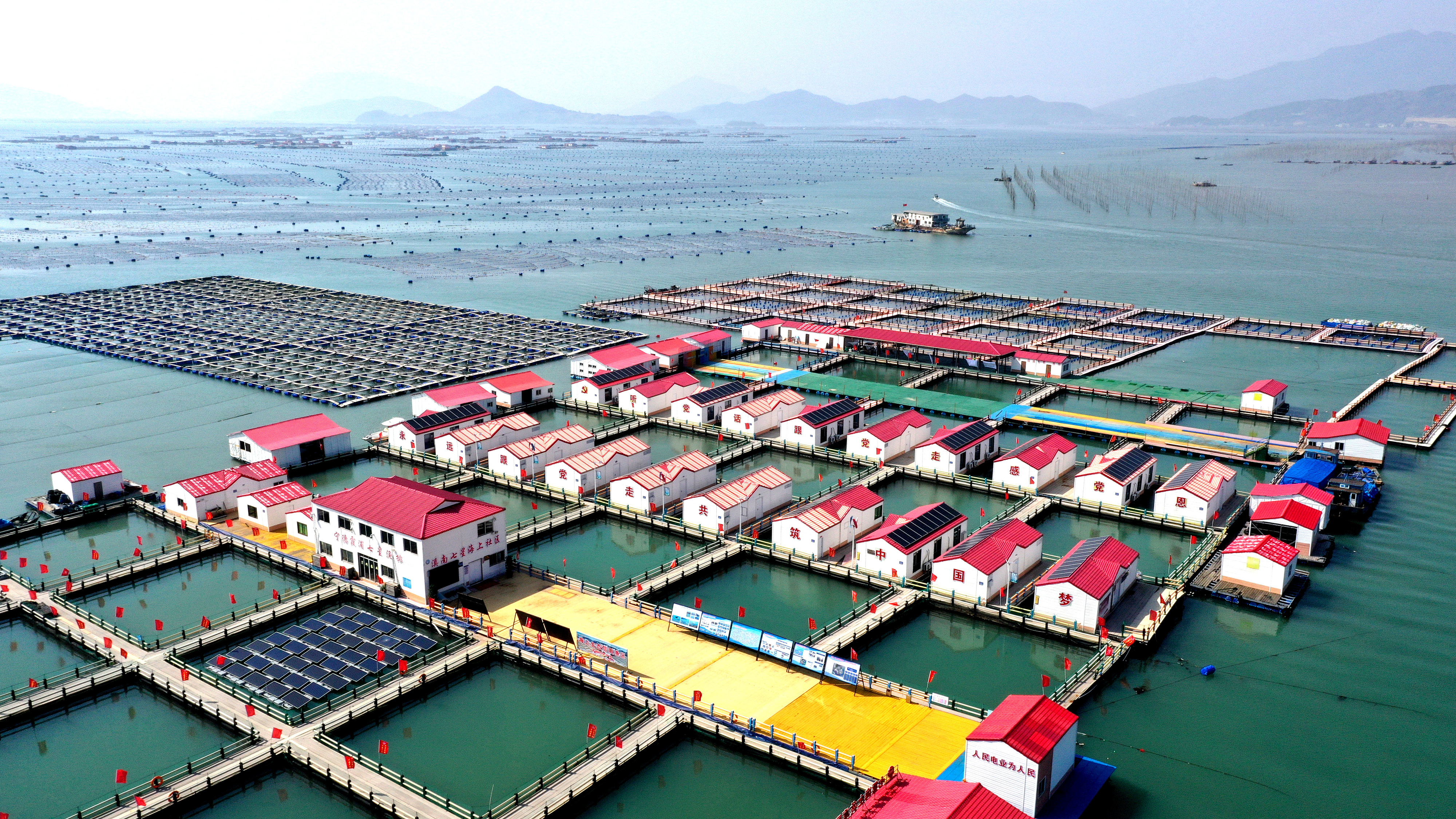 2024年3月20日，福建省寧德市，霞浦縣溪南鎮(zhèn)七星村漁排養(yǎng)殖示范區(qū)，漁民駕駛養(yǎng)殖船進行海參養(yǎng)殖作業(yè)。